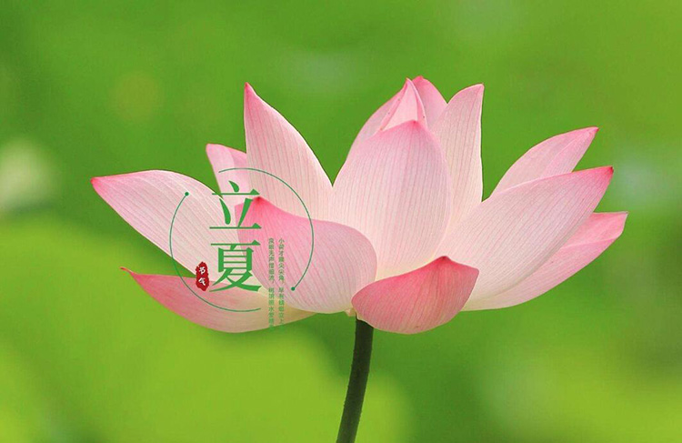 恩博士书包,东升国际箱包,包包生产厂家,广东东升国际科技