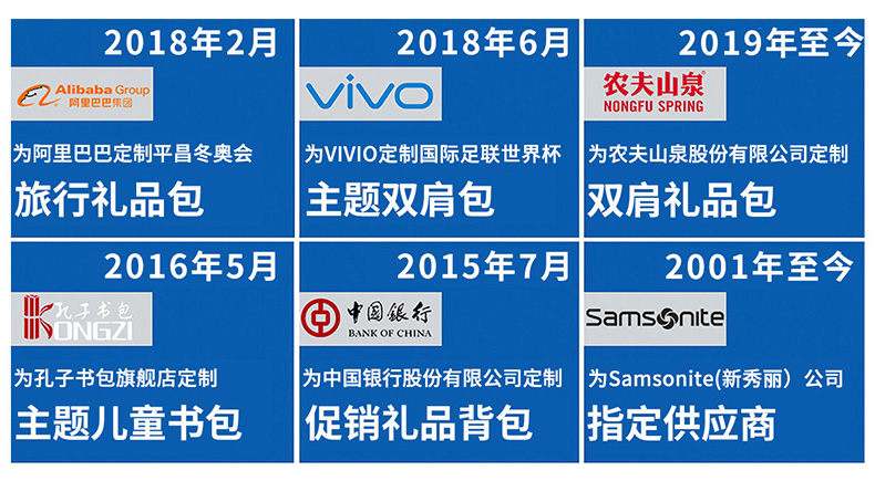 东升国际皮具合作案例