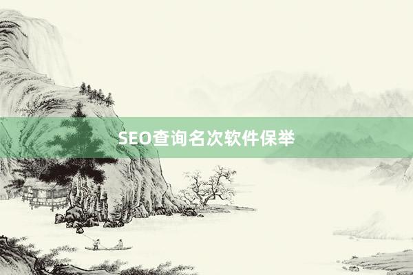 SEO查询名次软件保举
